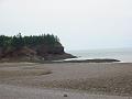 bayoffundy-05