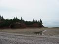 bayoffundy-06