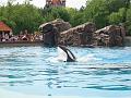 marineland-16