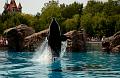 marineland-8